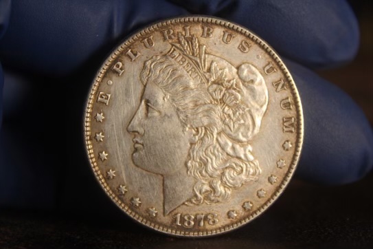 1878-Morgan-How-Would-You-Grade?
