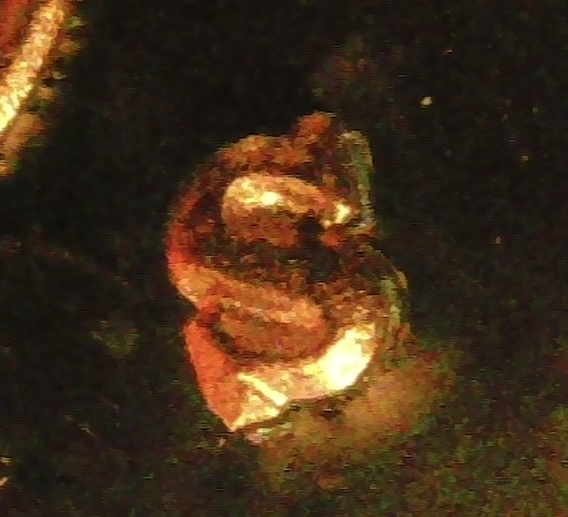 1983-Proof-Penny-Possible-RPM?