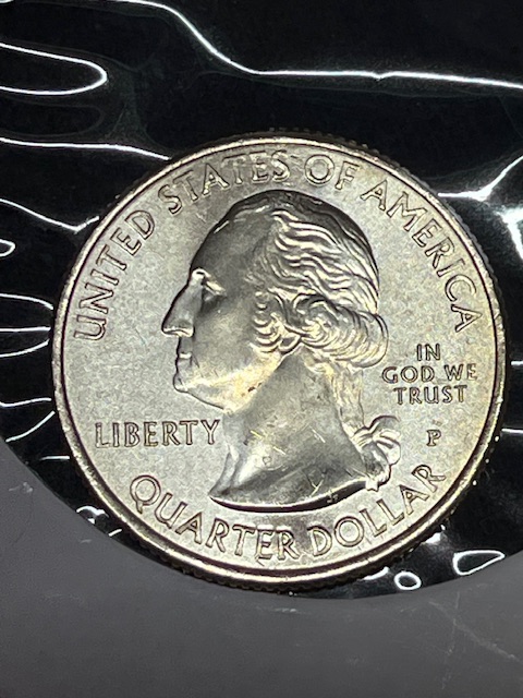 2020-P-Salt-Bay-Quarter-What-Error-Is-This