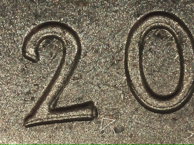 2020-P-Salt-Bay-Quarter-What-Error-Is-This