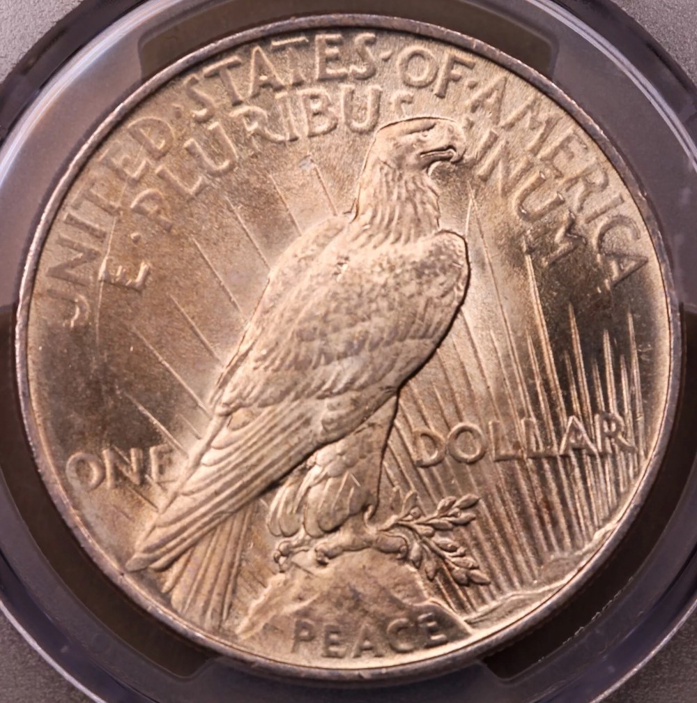 1922-P-VAM-2Ao-Pitted-Die-E-Peace-Dollar