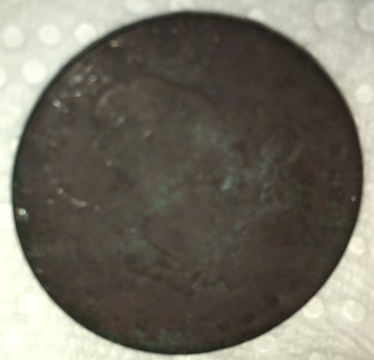 Power-Washed-Morgan-$-Find