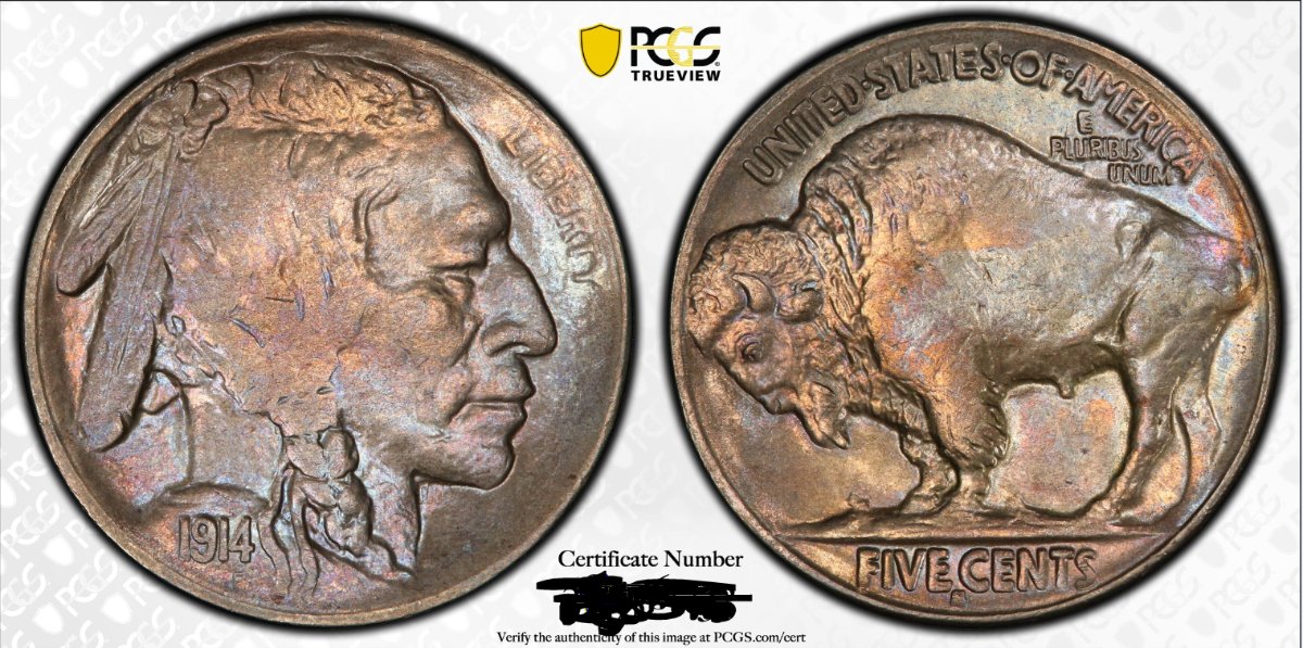 1914-S-Buffalo-Nickel-Vs-PCGS!