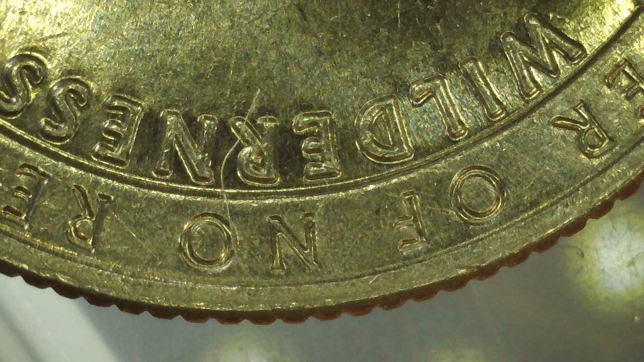 2019-D-Quarter---What-Kind-Of-Doubling