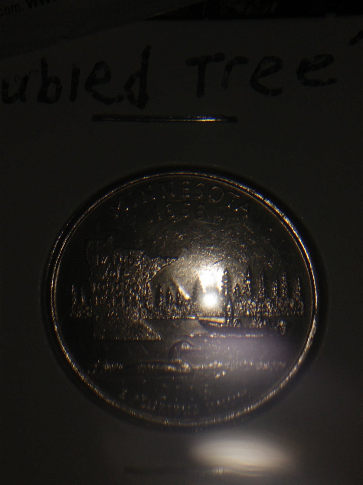 2005-P-Minnesota-Quarter-Extra-Tree/Rock-New-Variety