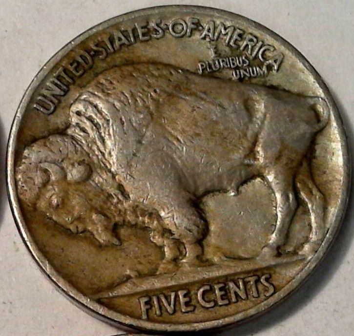 1929-Buffalo-Nickel---Grade-Opinions-Sought