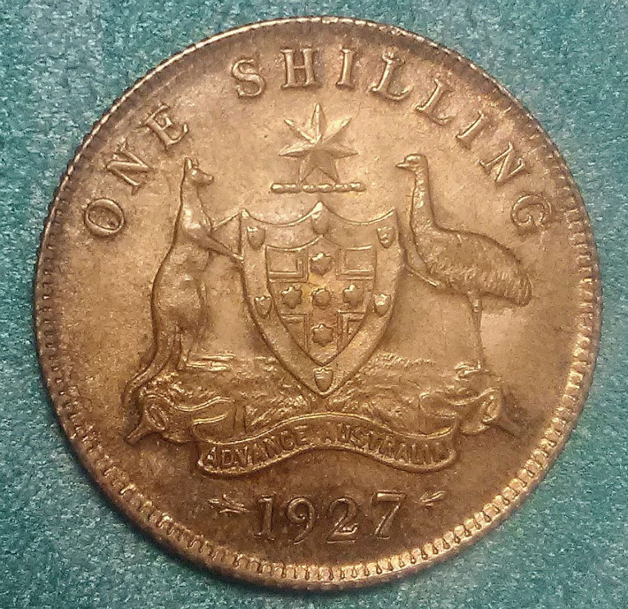 Continuing-List-To-Show-Everyones-Latest-Acquisitions