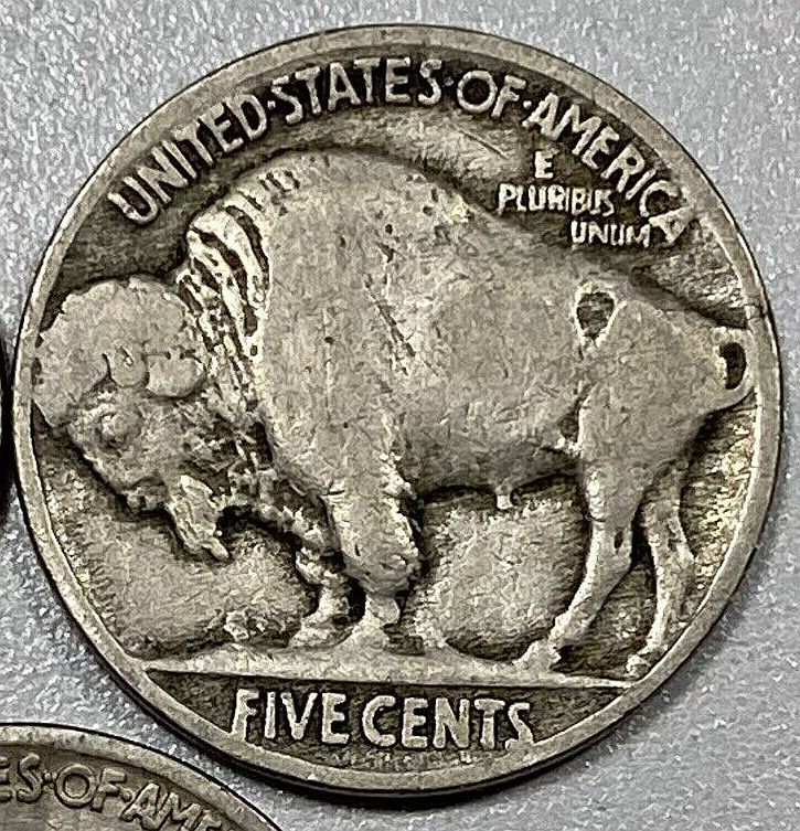 1915-P-Buffalo-Nickel-For-Grading.