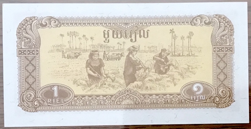 Women-On-Banknotes