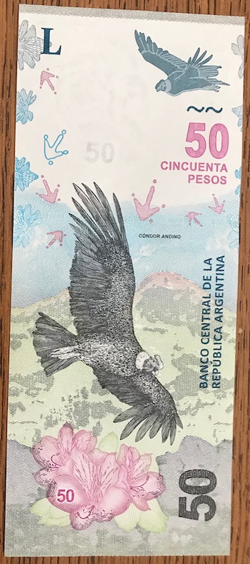 Post-Your-Avian-Notes!