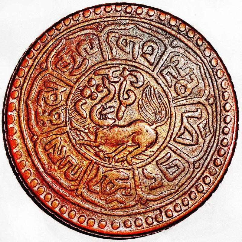 Post-Your-Coins-Representing-The-Animal-Kingdom.