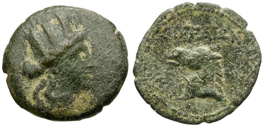 My-First-Animal-On-A-Coin.