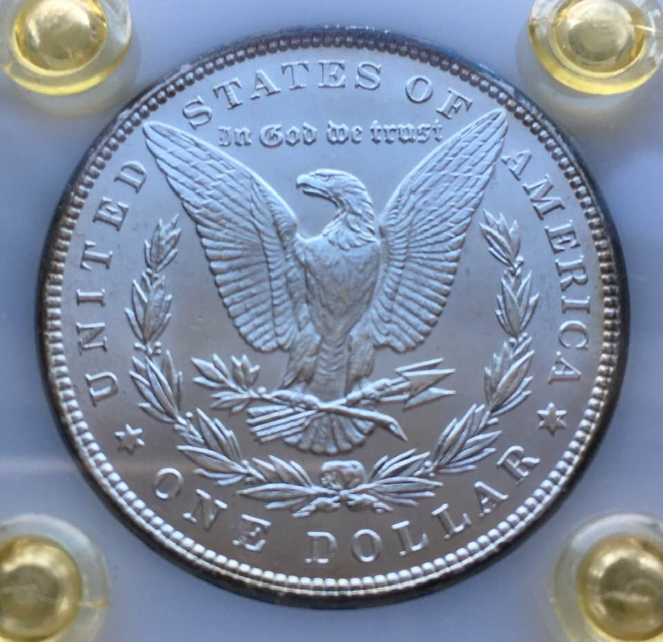 For-Your-Grading-Pleasure-1898-Morgan.