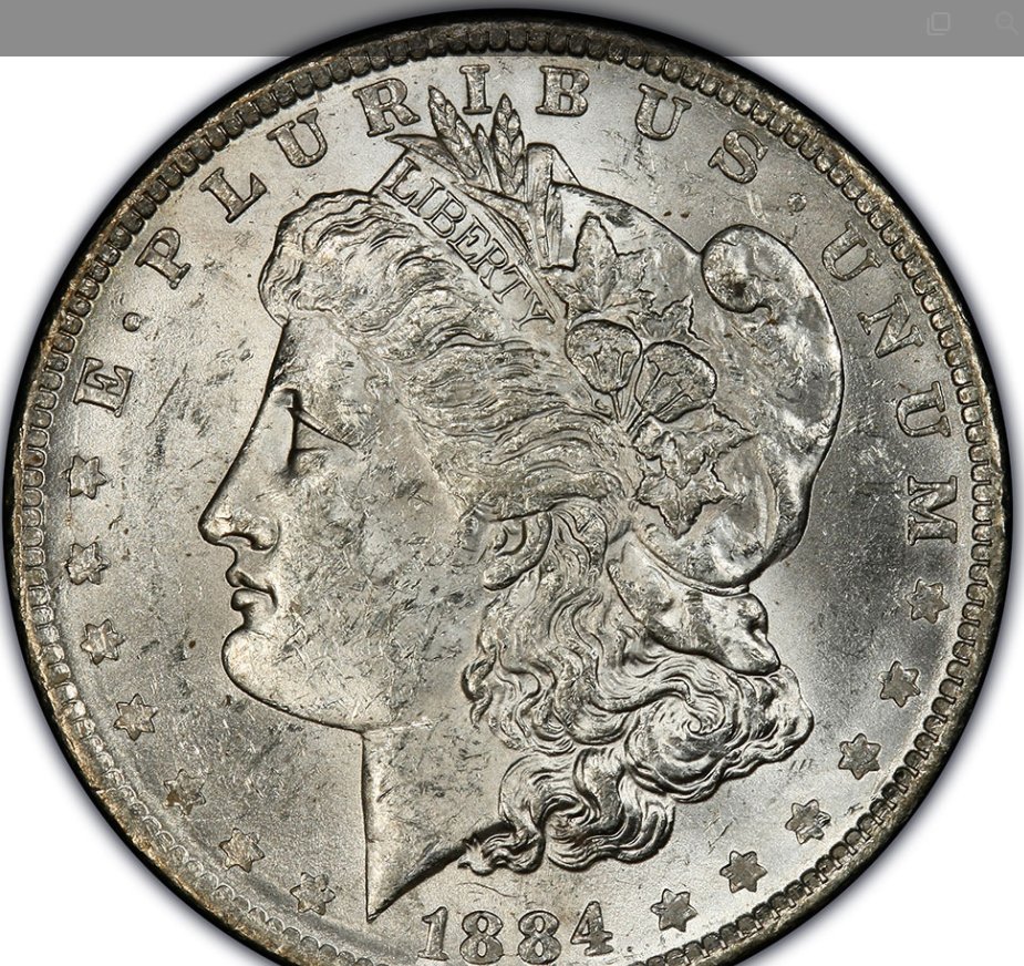 1891-Morgan-PCGS:-Liberty,-After-Some-Appalling-Street-Violence
