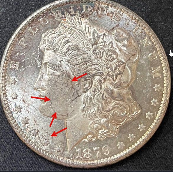 1879-S-Morgan-#3-Grade-It!