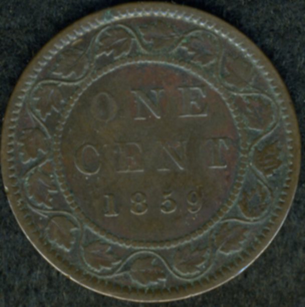 I-Purchased-8-X-1859's-In-Auction