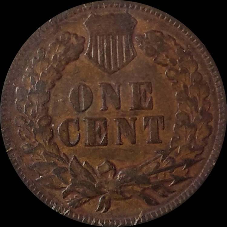 1893-Indian-Head-Cent-For-Grading---New-Pictures-Added-12/30/17!