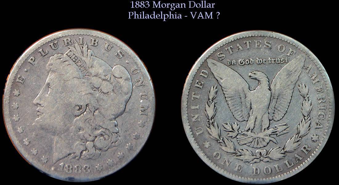 100-Days-Of-19th-Century-US-Coins-Plus-+-64-More-Days-Of-20th-Century!!-II