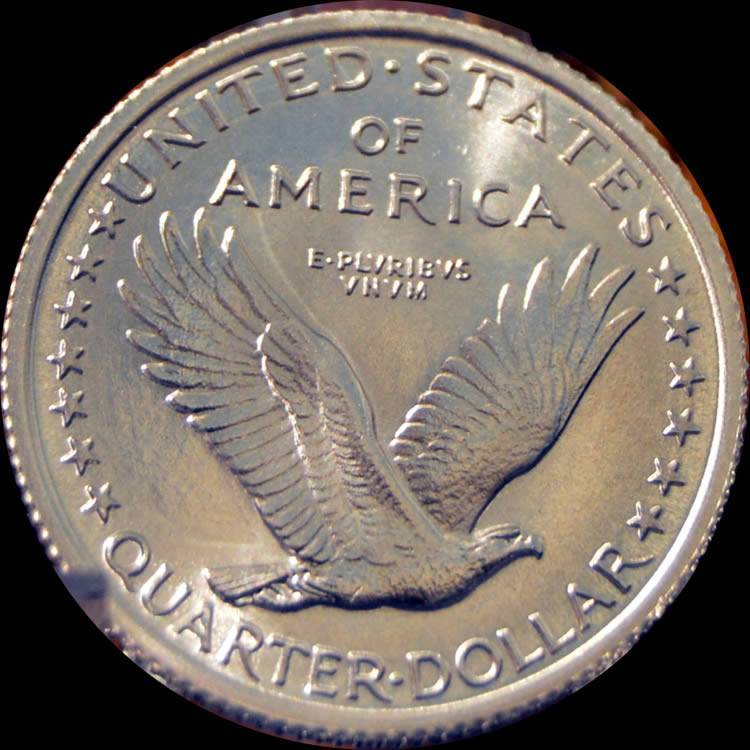 100-Days-Of-19th-Century-US-Coins-Plus-+-64-More-Days-Of-20th-Century!!-II