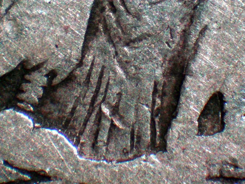 1878-S-Long-Nock-B1-Reverse,-Opinions?-*-New-Scope-Pictures-*