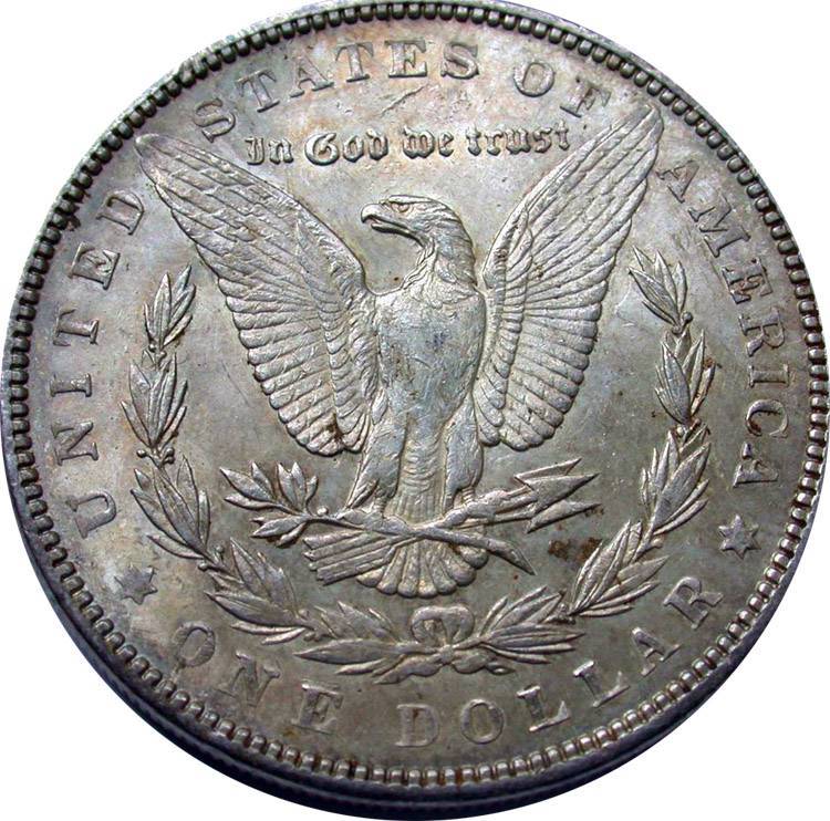 1890-Morgan-Dollar-For-Grading,-Raw