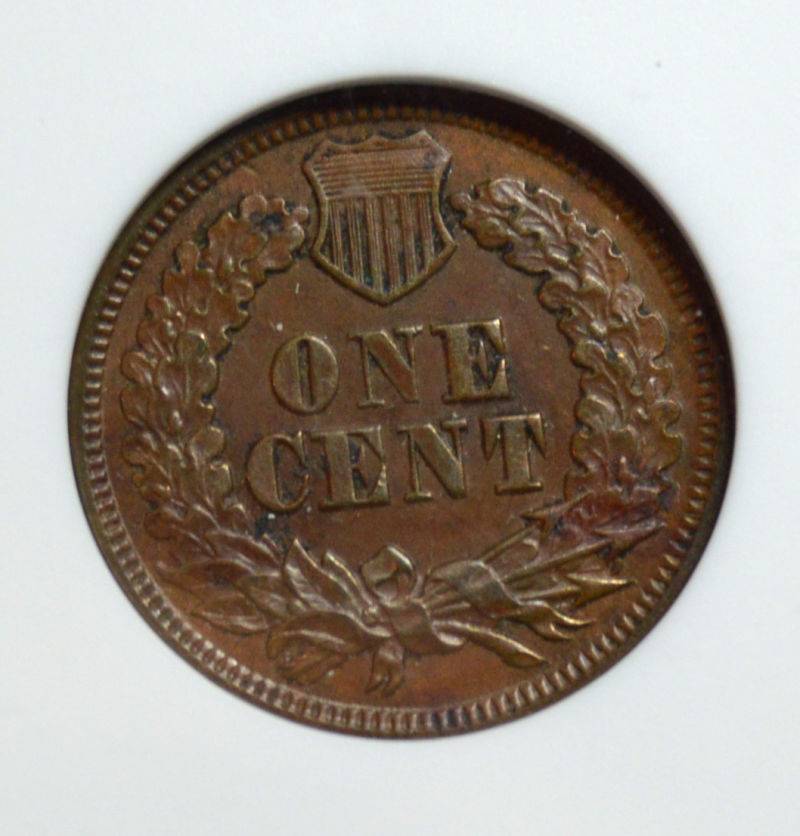 51-Days-Of-Flying-Eagle-And-Indian-Head-Cents!---Part-4!!
