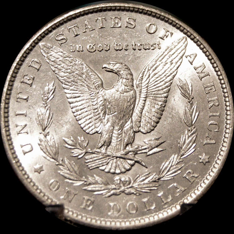 28-Days-Of-The-Morgan-Dollars-Part-5