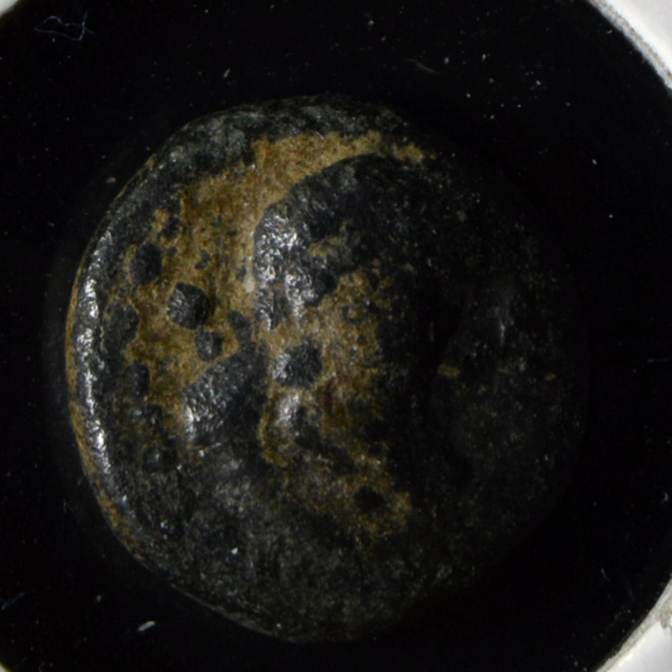 Help-For-Attribution-#3:-Greek-Bronze-Ae11-Ae12-Bust-Right,-Plant-Or-Grain,-Long-Slender-Design-Rev?