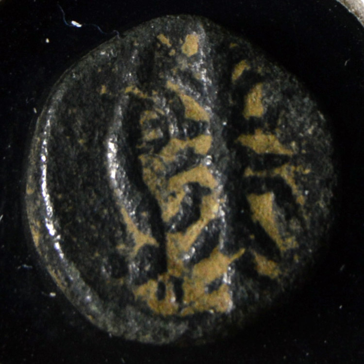 Help-For-Attribution-#3:-Greek-Bronze-Ae11-Ae12-Bust-Right,-Plant-Or-Grain,-Long-Slender-Design-Rev?