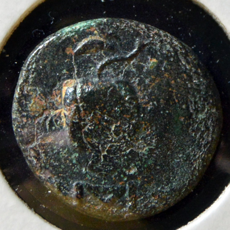 Help-For-Attribution-#2:-Greek-Bronze-Ae17,-Helmeted-Bust-Right,-Countermarked,-Tree/Leaves-Reverse?