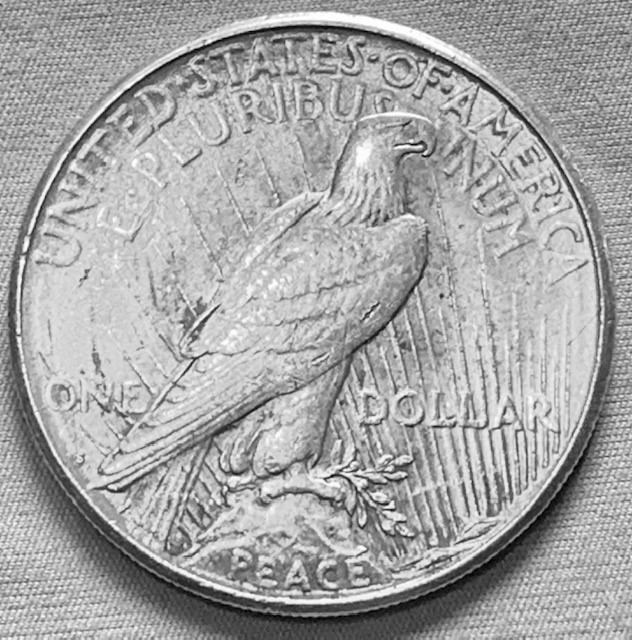 Morgan-1884-S--And-Peace-1923-Grading