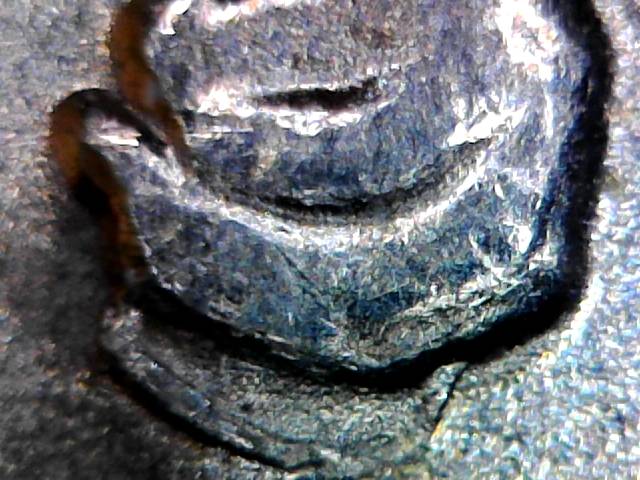 2015-P-Kisatchie-?dd-Or-Die-Chip-?-Looks-DD-To-My-Expert-Help-Tank-You