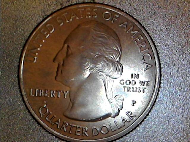 I-Will-Call-This-The-Bee-Hides-Coin--Comments-Please