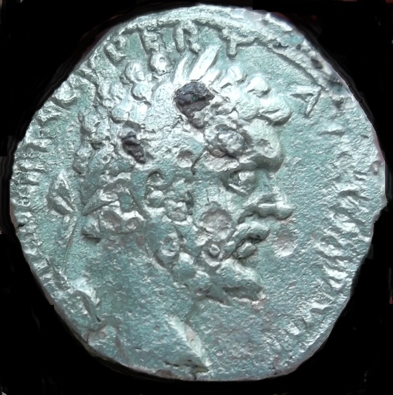 Septimius-Severus-Fourreé-Mule-Denarius