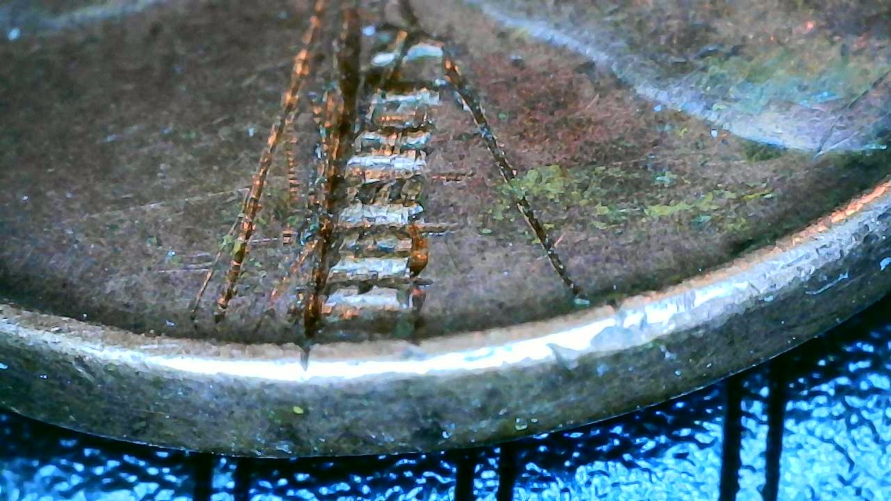 1951-D-Penny/Cent:-Is-This-Strike-Damage-Or-Most-Likely-PMD-From-Carving?*someone-Cleaned-Itthanks