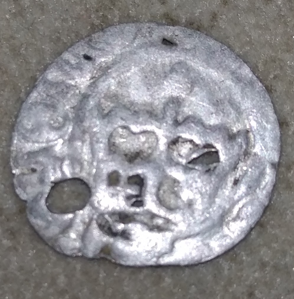 Is-Numista-Wrong-If-You-Want-To-See-Is-Coin-You-Own-Rare?
