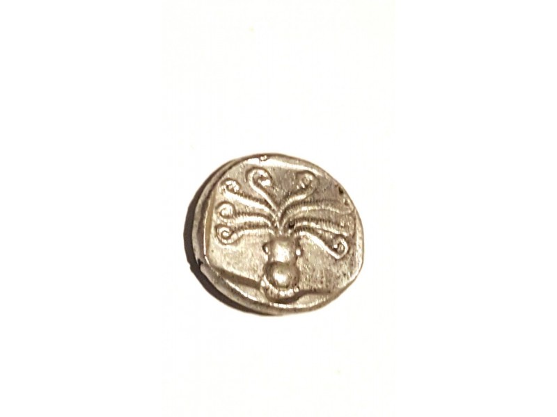 Celtic-Coin,-Is-It-Fake?