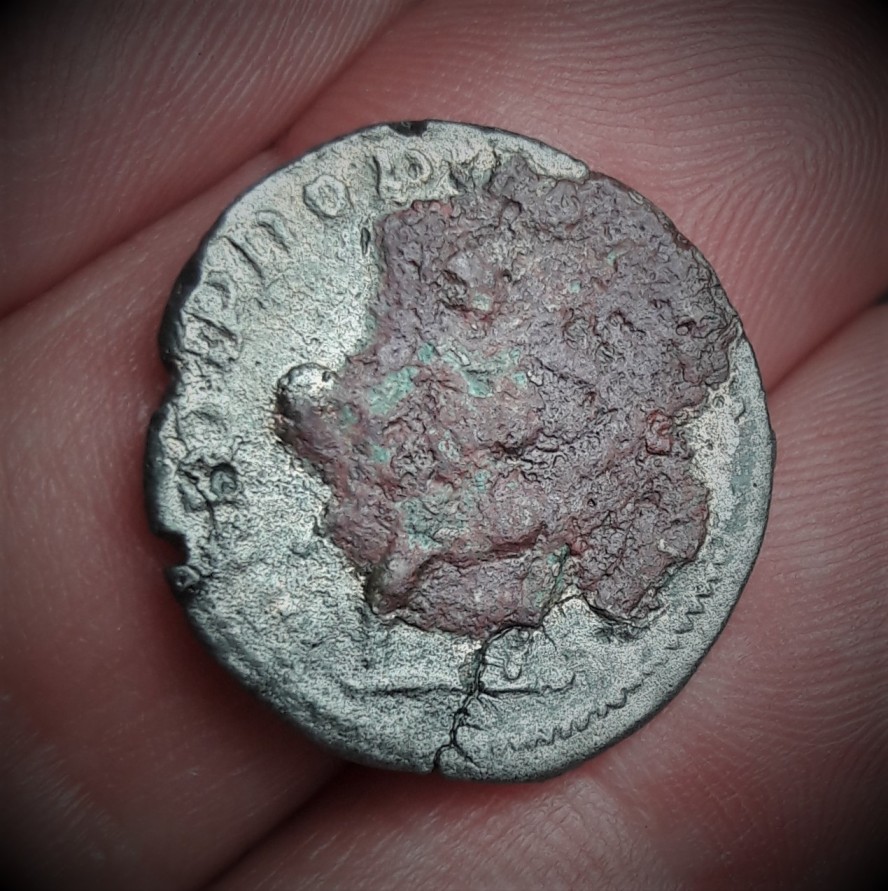 Conservation-Help-Please--Antoninianus