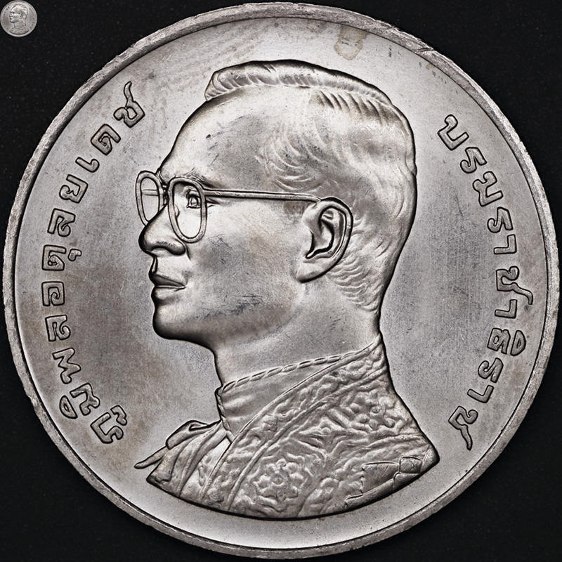 166-Days-Of-Yakko's-World-Coins