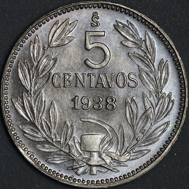 166-Days-Of-Yakko's-World-Coins