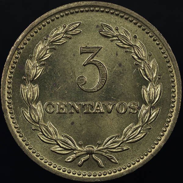 166-Days-Of-Yakko's-World-Coins