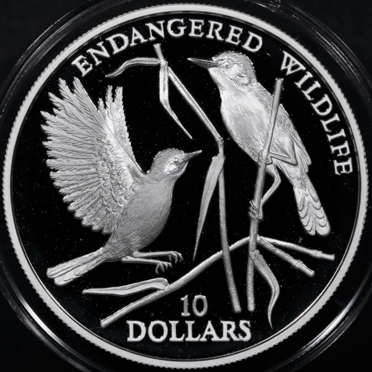 166-Days-Of-Yakko's-World-Coins
