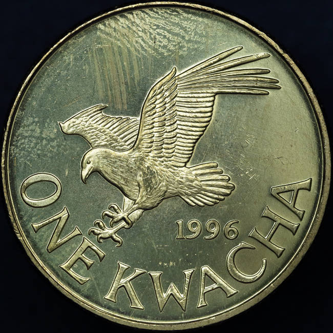 166-Days-Of-Yakko's-World-Coins