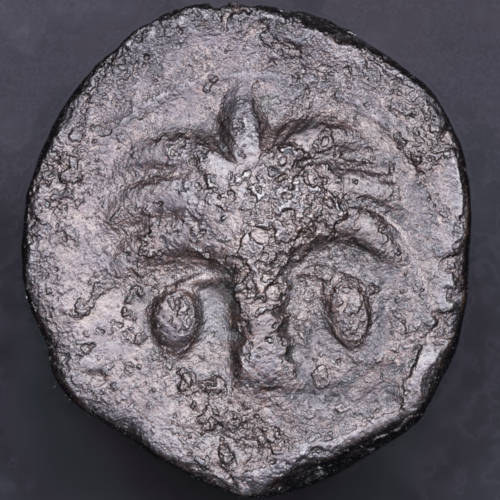 Post-Your-Coins-With-Horses