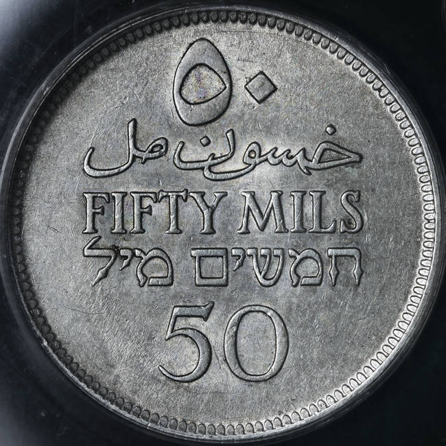166-Days-Of-Yakko's-World-Coins