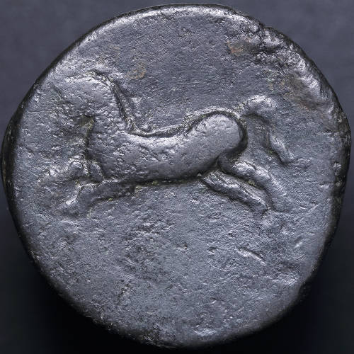 Post-Your-Coins-With-Horses