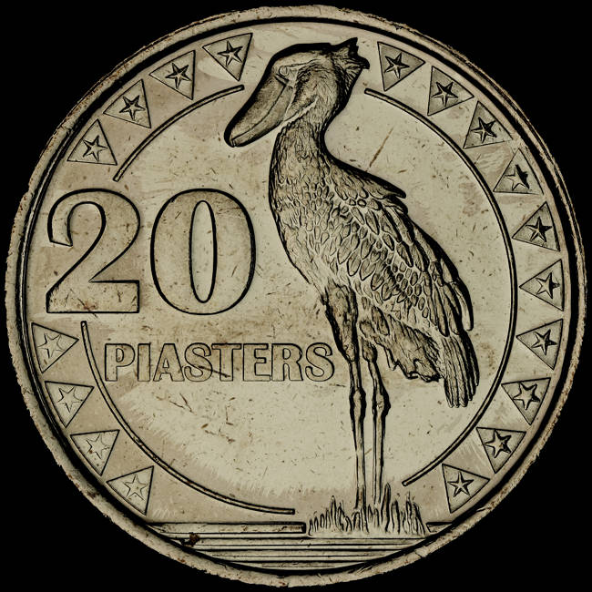 Post-Your-Coins-Representing-The-Animal-Kingdom.