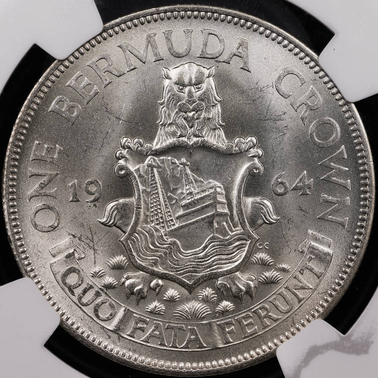 Continuing-List-To-Show-Everyones-Latest-Acquisitions