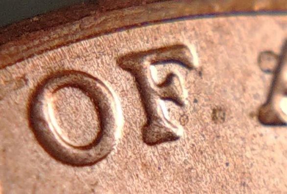 2022-D-Shield-DDR-New-W/-Decent-Thickness
