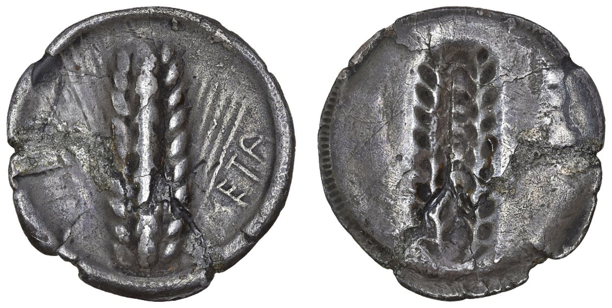 Metapontum,-AR-Nomos,-Barley